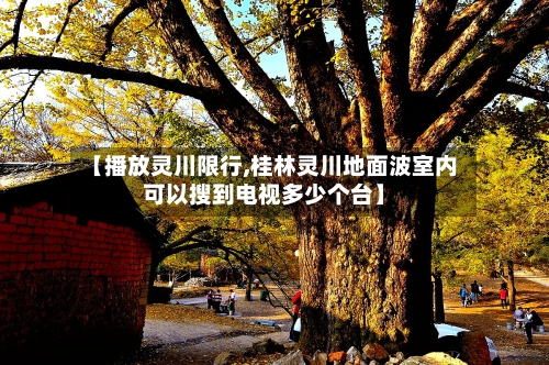 【播放灵川限行,桂林灵川地面波室内可以搜到电视多少个台】
