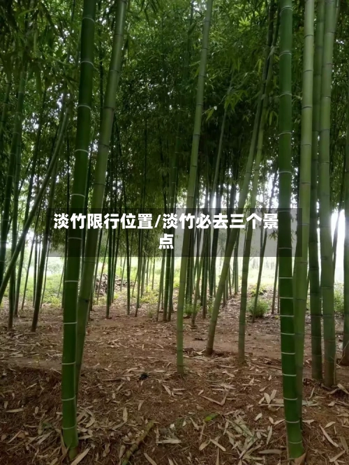 淡竹限行位置/淡竹必去三个景点