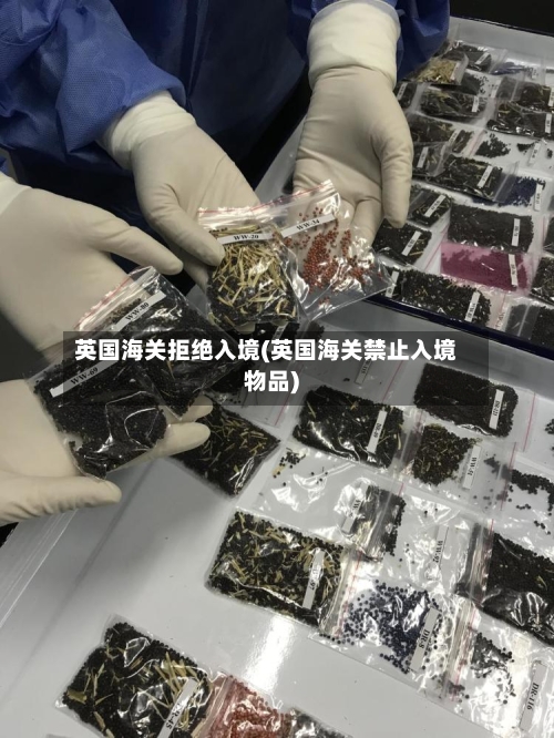 英国海关拒绝入境(英国海关禁止入境物品)-第2张图片