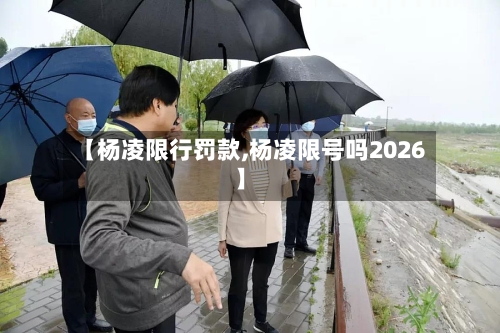 【杨凌限行罚款,杨凌限号吗2026】-第2张图片