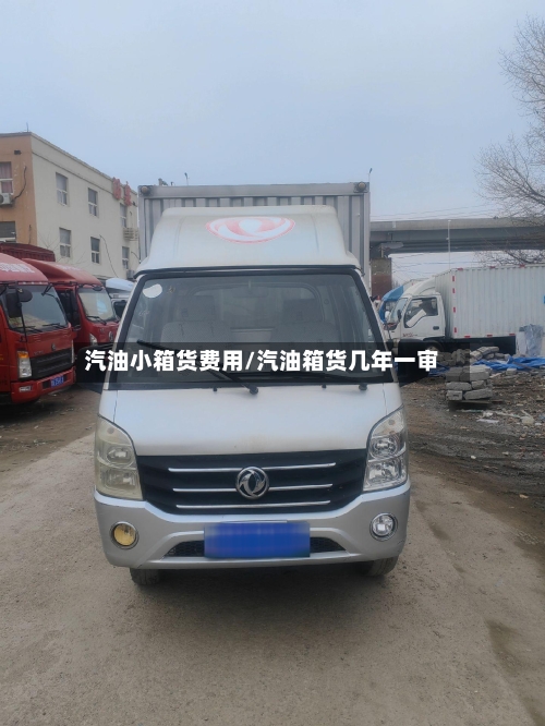 汽油小箱货费用/汽油箱货几年一审