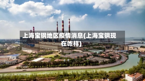 上海宝钢地区疫情消息(上海宝钢现在咋样)-第2张图片