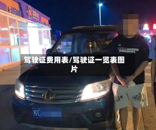 驾驶证费用表/驾驶证一览表图片