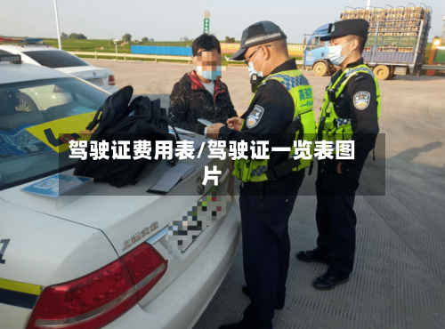 驾驶证费用表/驾驶证一览表图片-第3张图片