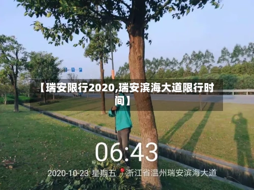 【瑞安限行2020,瑞安滨海大道限行时间】-第2张图片