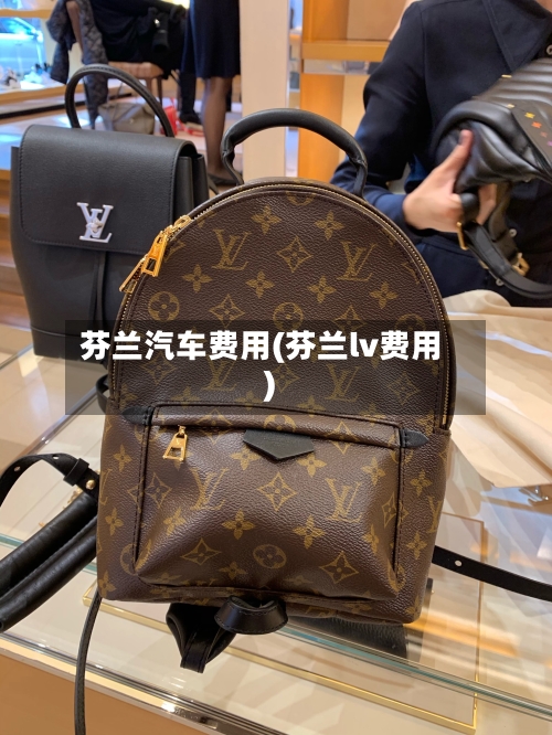 芬兰汽车费用(芬兰lv费用)