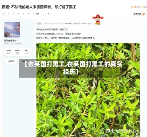 【去英国打黑工,在英国打黑工的真实经历】-第2张图片
