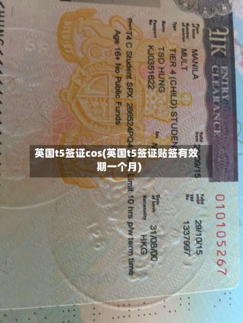 英国t5签证cos(英国t5签证贴签有效期一个月)