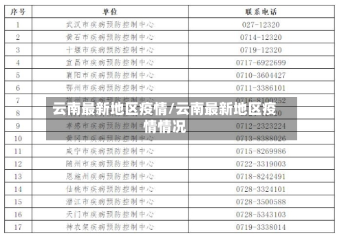 云南最新地区疫情/云南最新地区疫情情况-第2张图片
