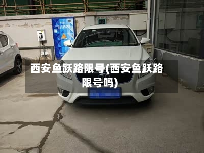 西安鱼跃路限号(西安鱼跃路限号吗)