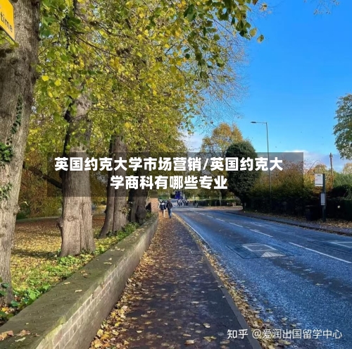 英国约克大学市场营销/英国约克大学商科有哪些专业-第2张图片