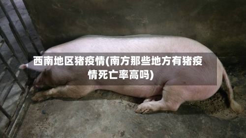 西南地区猪疫情(南方那些地方有猪疫情死亡率高吗)