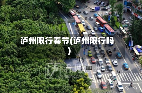 泸州限行春节(泸州限行吗)-第2张图片