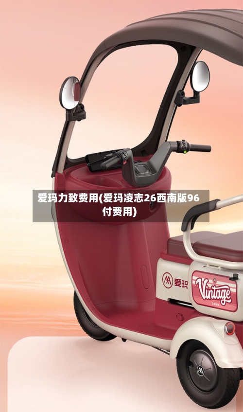 爱玛力致费用(爱玛凌志26西南版96付费用)