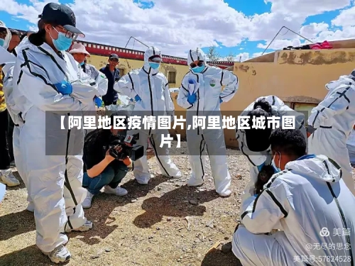 【阿里地区疫情图片,阿里地区城市图片】