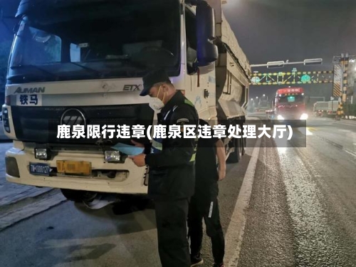 鹿泉限行违章(鹿泉区违章处理大厅)