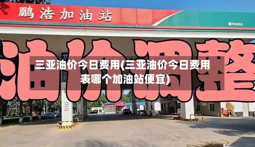 三亚油价今日费用(三亚油价今日费用表哪个加油站便宜)