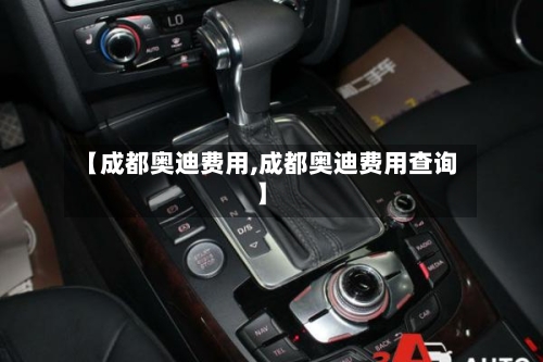 【成都奥迪费用,成都奥迪费用查询】-第2张图片