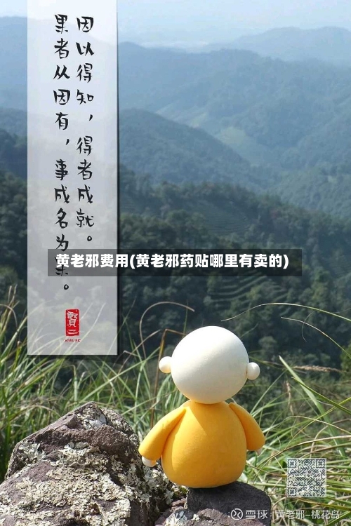 黄老邪费用(黄老邪药贴哪里有卖的)-第2张图片