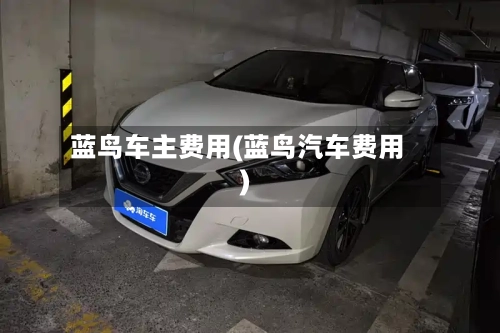 蓝鸟车主费用(蓝鸟汽车费用)