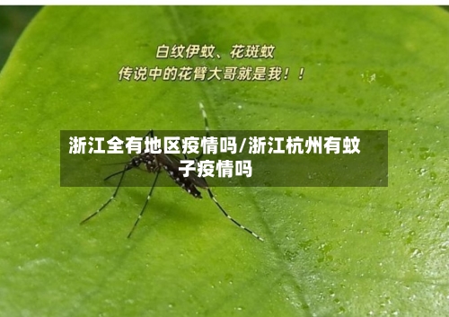 浙江全有地区疫情吗/浙江杭州有蚊子疫情吗