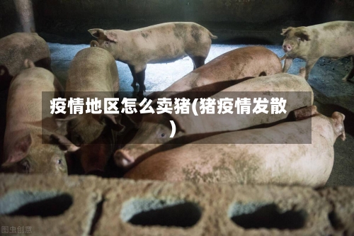 疫情地区怎么卖猪(猪疫情发散)