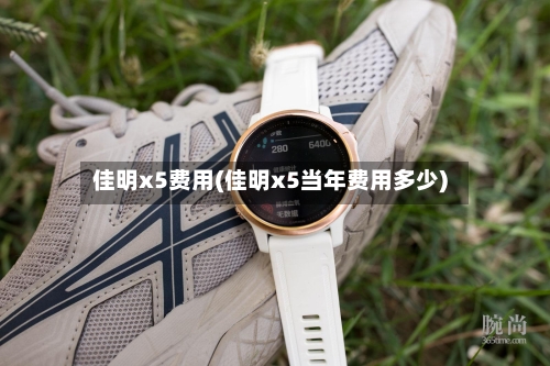 佳明x5费用(佳明x5当年费用多少)
