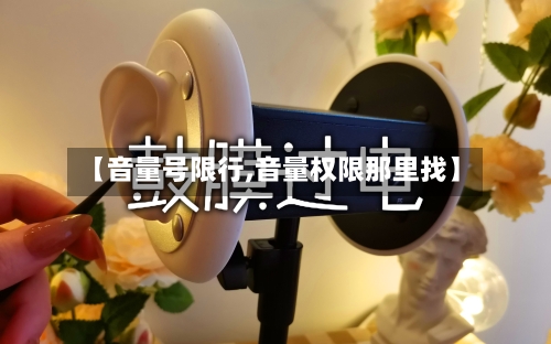 【音量号限行,音量权限那里找】-第2张图片