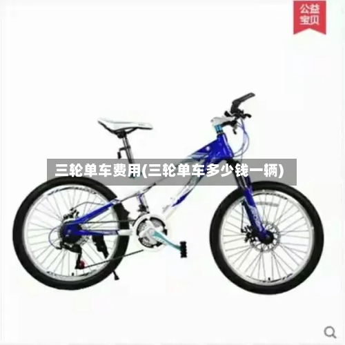 三轮单车费用(三轮单车多少钱一辆)-第2张图片