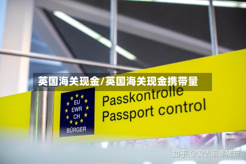 英国海关现金/英国海关现金携带量