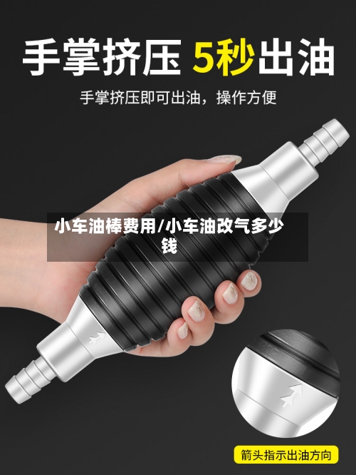 小车油棒费用/小车油改气多少钱