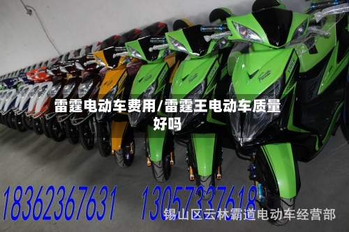 雷霆电动车费用/雷霆王电动车质量好吗-第2张图片