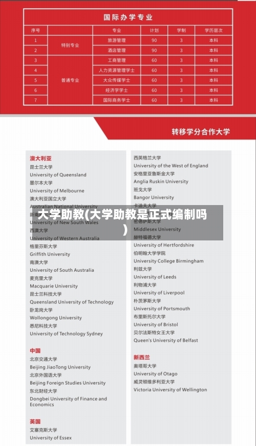 大学助教(大学助教是正式编制吗)-第2张图片