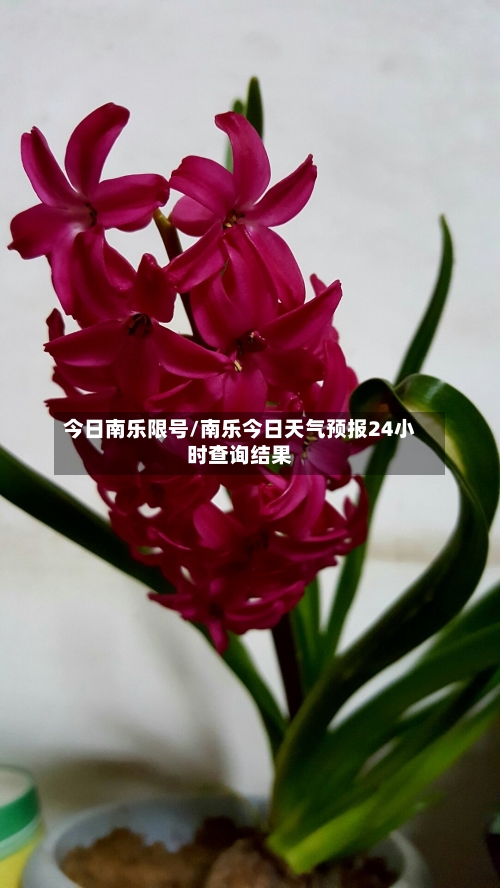 今日南乐限号/南乐今日天气预报24小时查询结果