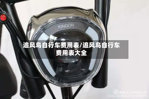追风鸟自行车费用表/追风鸟自行车费用表大全