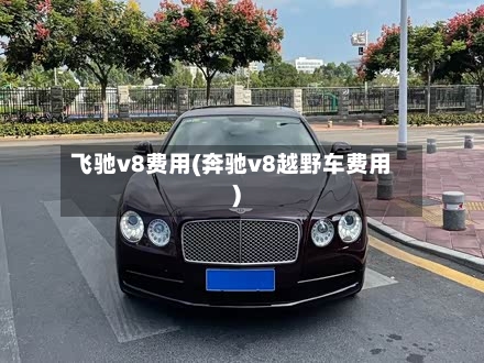 飞驰v8费用(奔驰v8越野车费用)