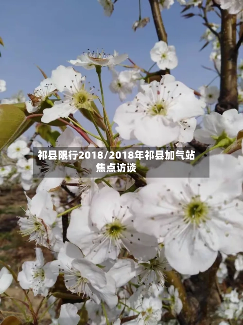 祁县限行2018/2018年祁县加气站焦点访谈-第2张图片