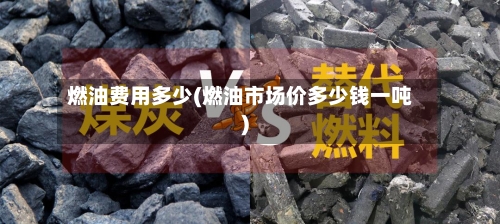 燃油费用多少(燃油市场价多少钱一吨)