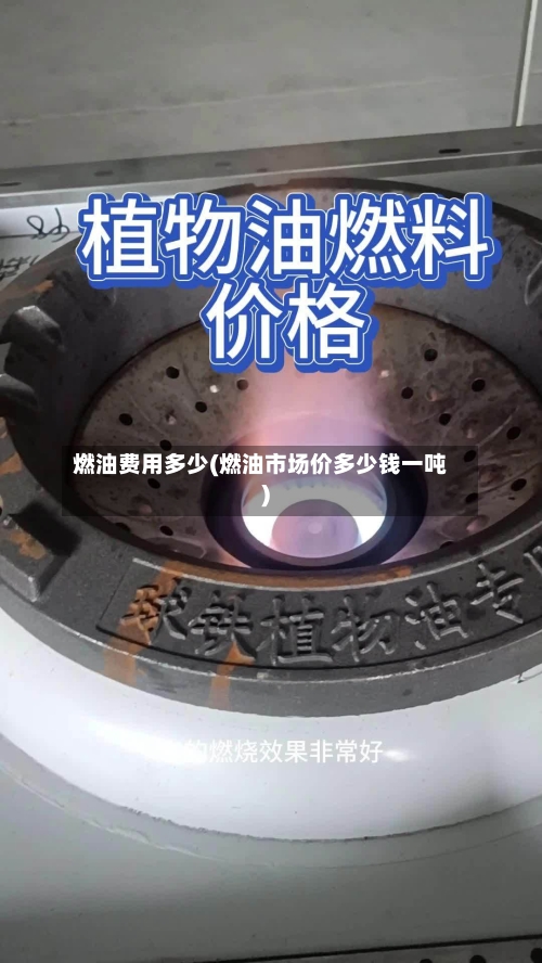 燃油费用多少(燃油市场价多少钱一吨)-第3张图片