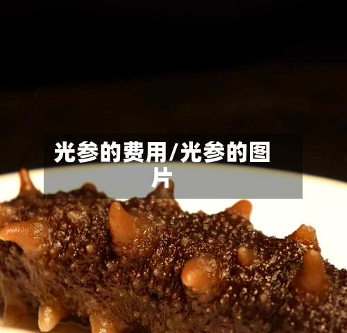光参的费用/光参的图片-第2张图片