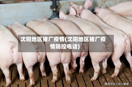 沈阳地区猪厂疫情(沈阳地区猪厂疫情防控电话)