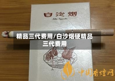 精品三代费用/白沙烟硬精品三代费用-第2张图片