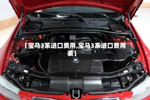 【宝马3系进口费用,宝马3系进口费用表】-第3张图片