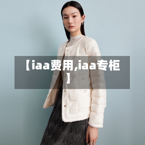 【iaa费用,iaa专柜】-第2张图片