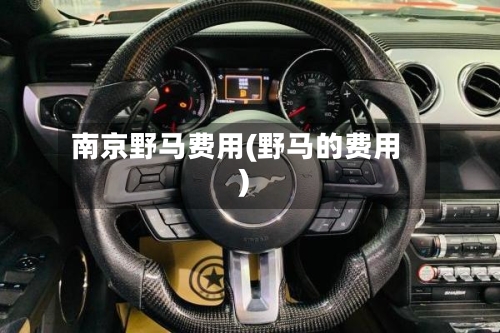 南京野马费用(野马的费用)-第2张图片