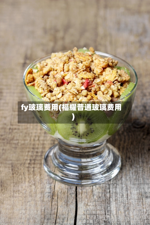 fy玻璃费用(福耀普通玻璃费用)-第2张图片