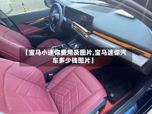 【宝马小迷你费用及图片,宝马迷你汽车多少钱图片】