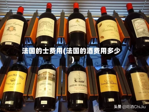 法国的士费用(法国的酒费用多少)-第2张图片