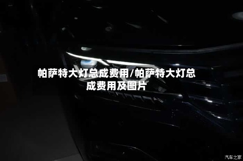 帕萨特大灯总成费用/帕萨特大灯总成费用及图片-第2张图片