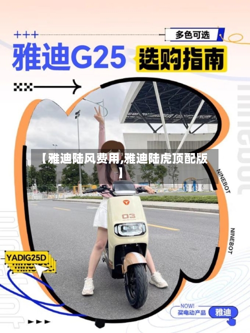 【雅迪陆风费用,雅迪陆虎顶配版】-第3张图片